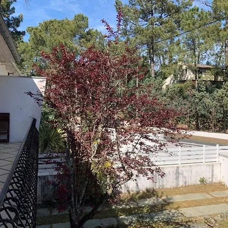 Georges De Didonne - Spacieuse Maison Au Coeur Des Pins - Le Top !