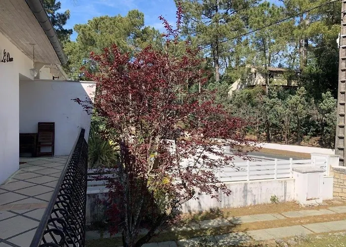 Georges De Didonne - Spacieuse Maison Au Coeur Des Pins - Le Top !