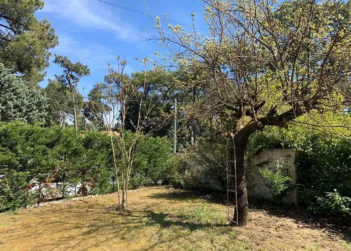 Villa Georges De Didonne - Spacieuse Maison Au Coeur Des Pins - Le Top ! Saint-Georges-de-Didonne